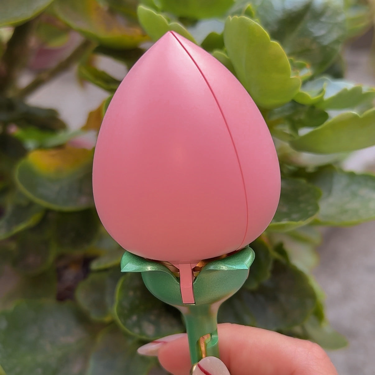 Cofre de tulipán más pulsera